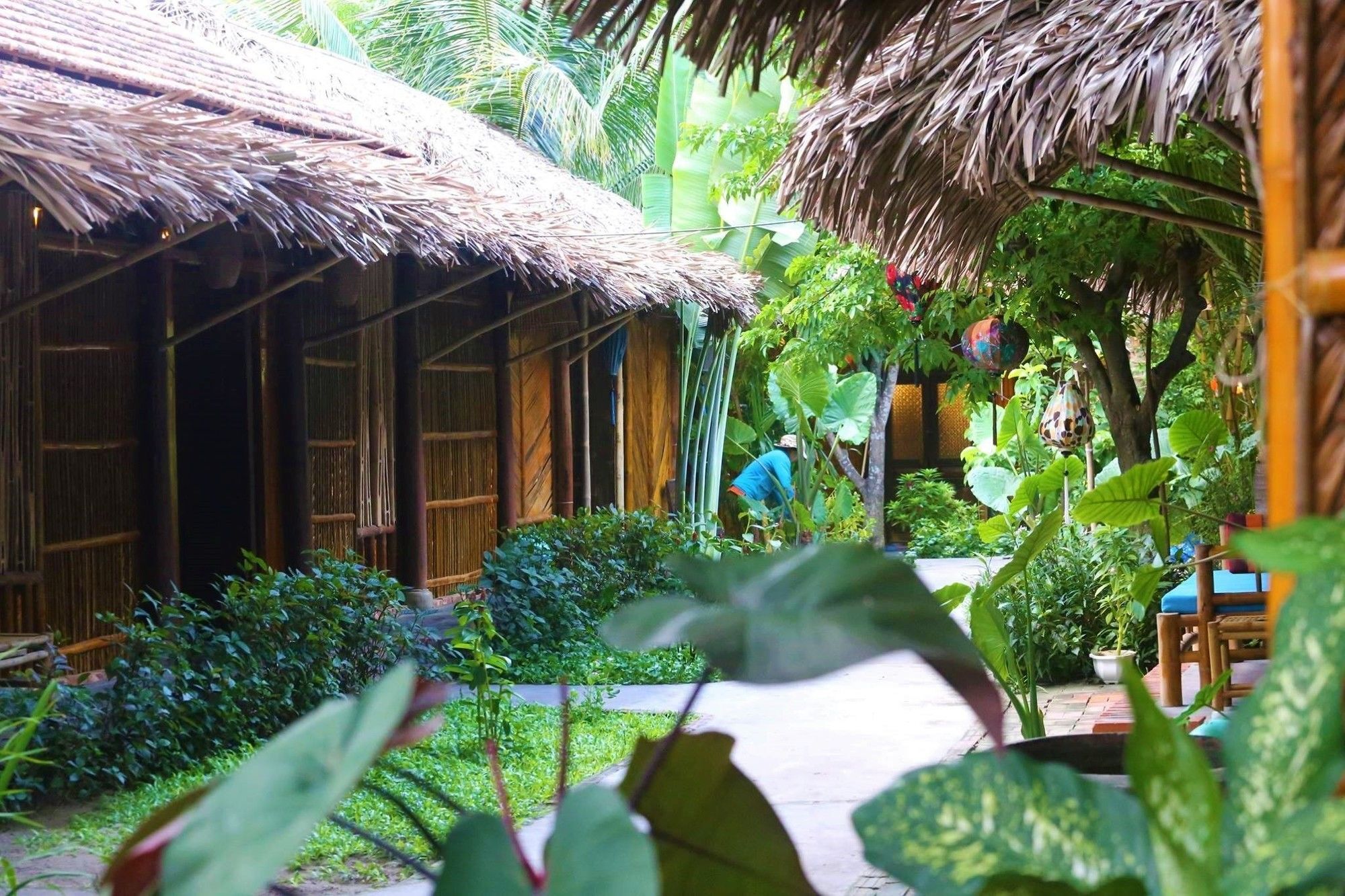 Готель Under The Coconut Tree Хоян Екстер'єр фото